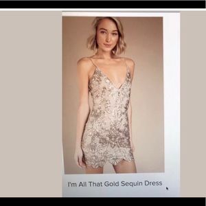 Tobi Dress
